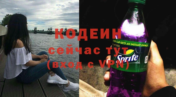 ECSTASY Бородино